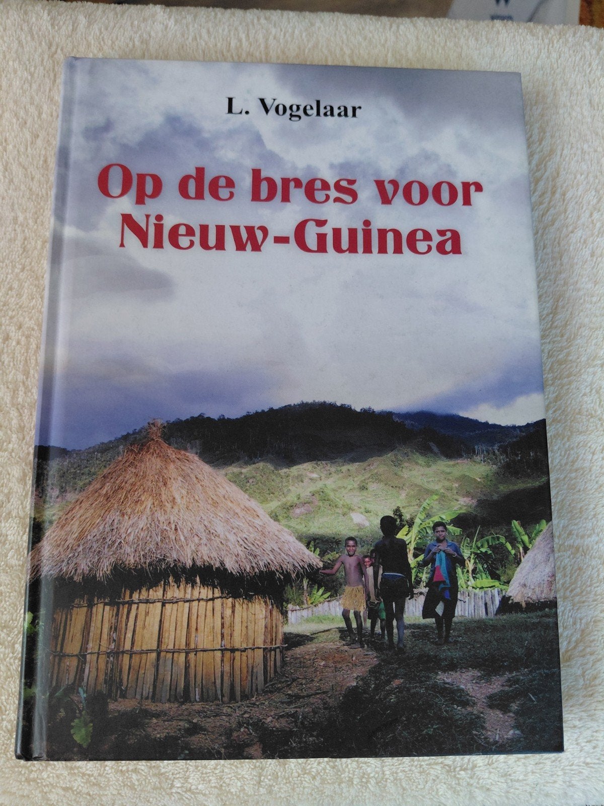 L. Vogelaar - Op de bres voor Nieuw-Guinea, Boeken, Ophalen of Verzenden, Gelezen, L. Vogelaar