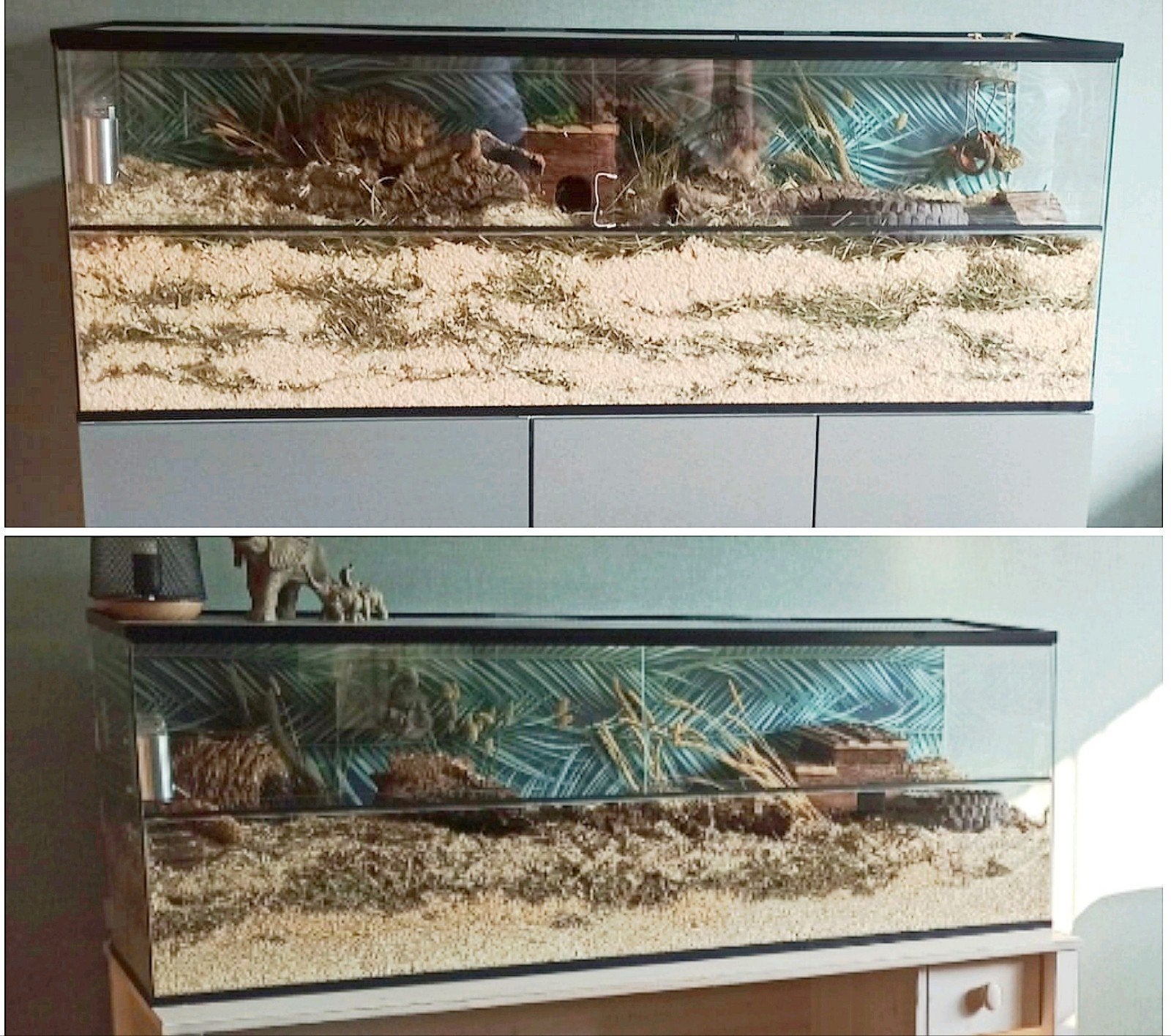 Knaagdieren verblijf. Glas. Terrarium. Gerbilarium 140/40/50, Kooi, 110 cm of meer, Hamster, Ophalen