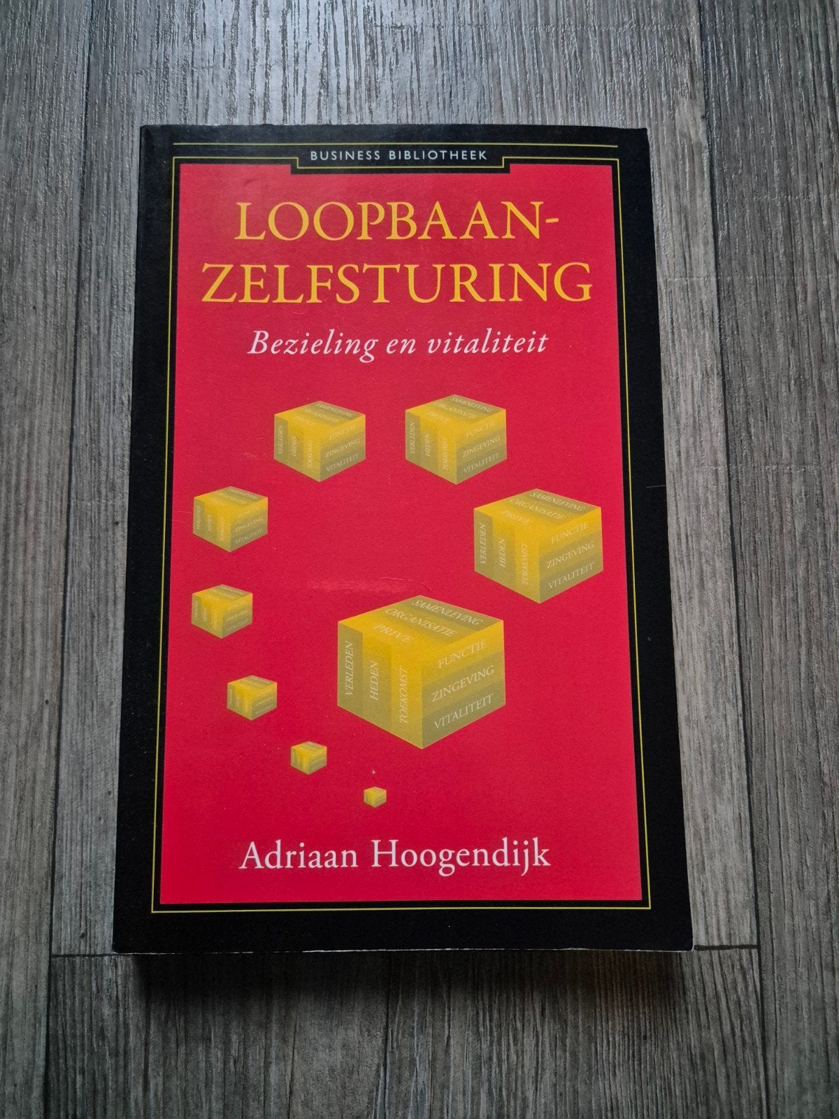 Adriaan Hoogendijk - Loopbaanzelfsturing, Ophalen of Verzenden, Zo goed als nieuw, Adriaan Hoogendijk
