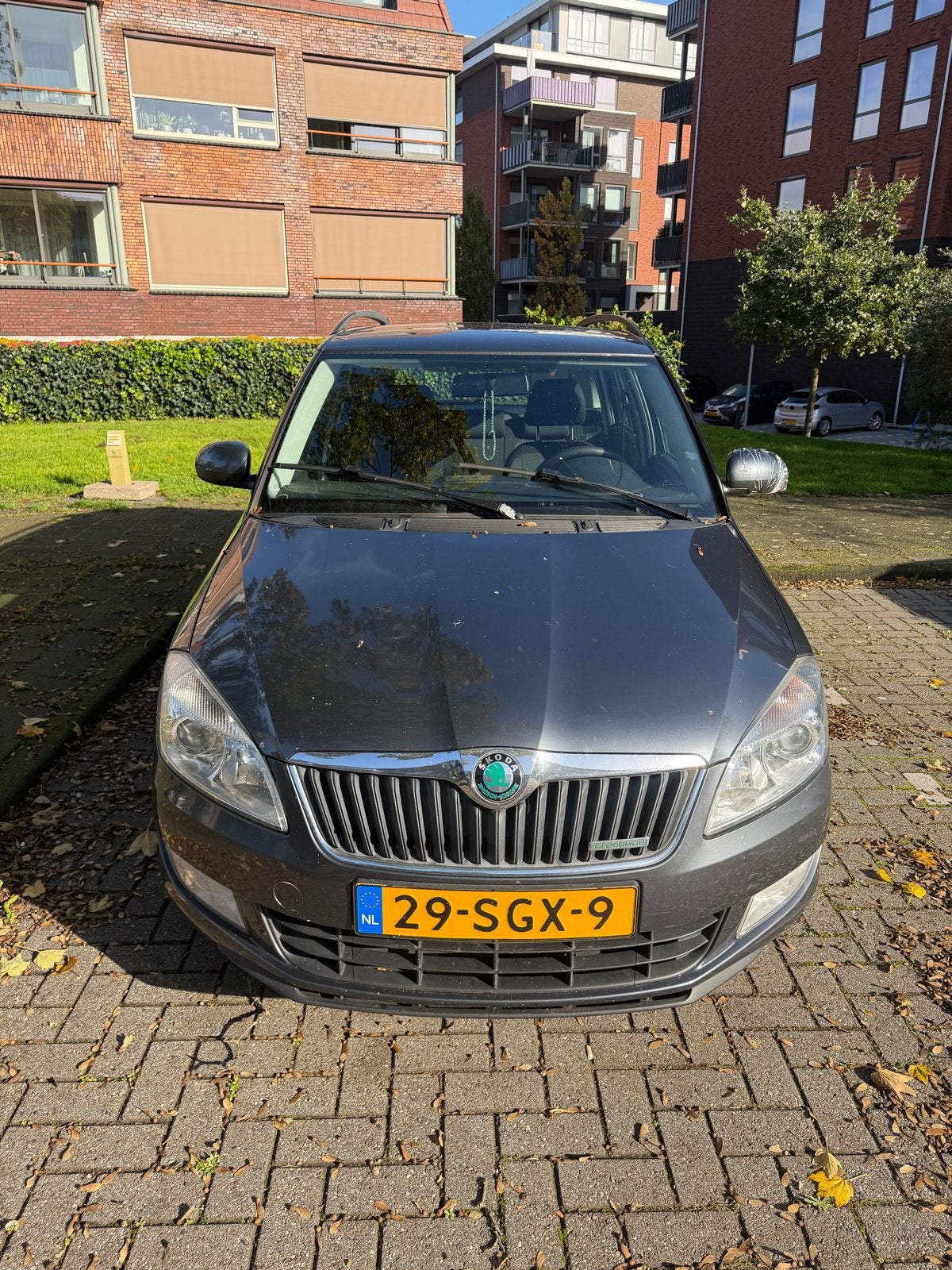 Skoda Fabia 1.2 TDI 55KW Greenline Combi 2011 Grijs (m2459018416 ...