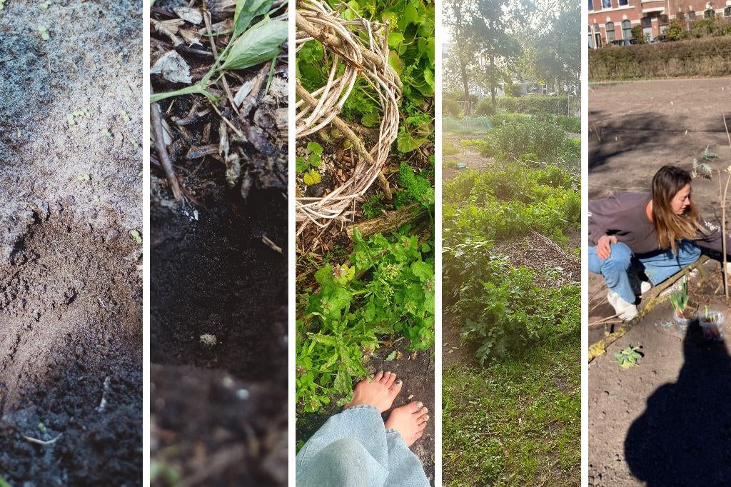 Meer leven in je tuin? Ecologisch advies voor jouw tuin!, Ophalen of Verzenden, Nieuw