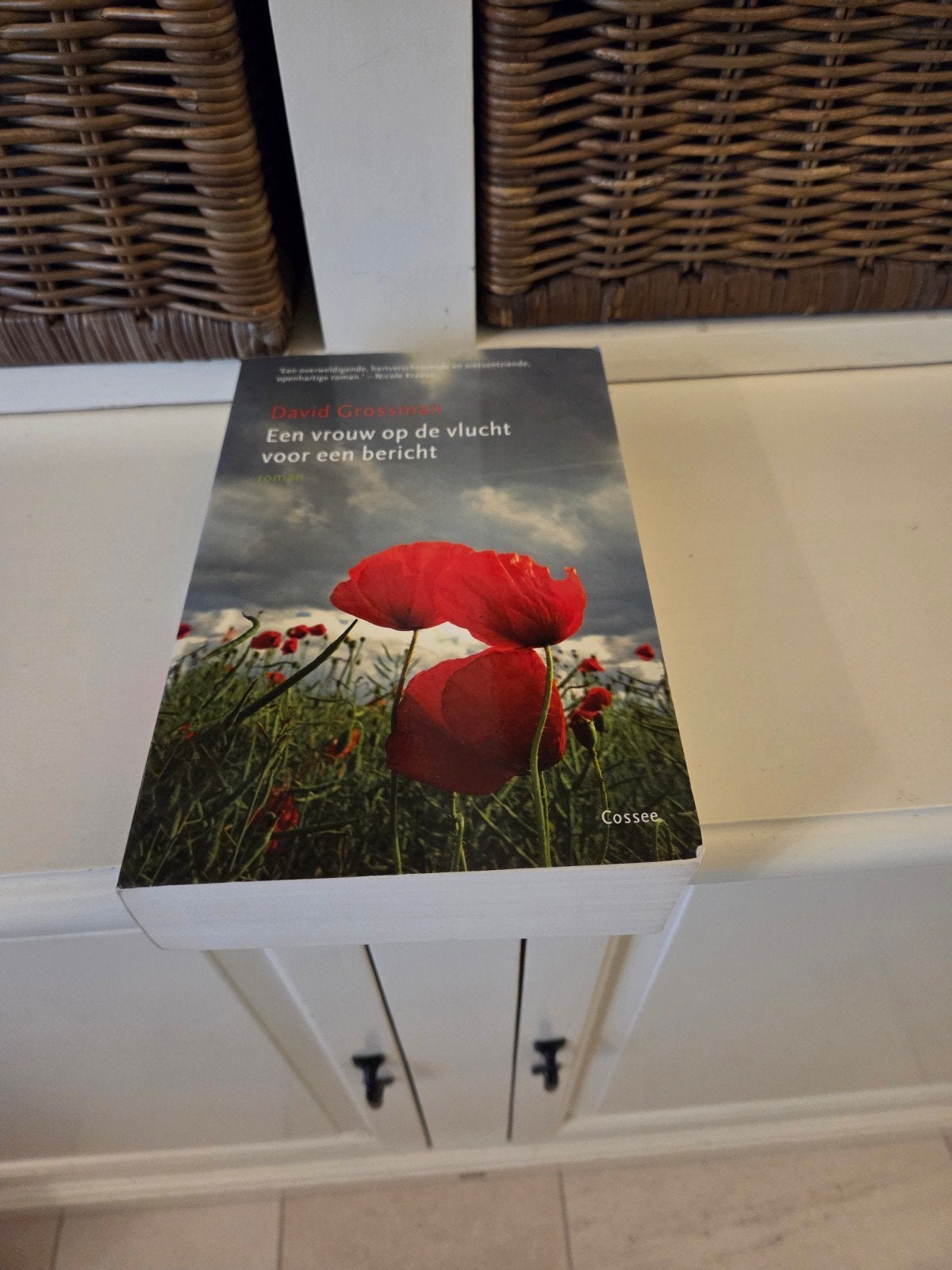David Grossman - Een vrouw op de vlucht voor een bericht, Boeken, Ophalen of Verzenden, Zo goed als nieuw