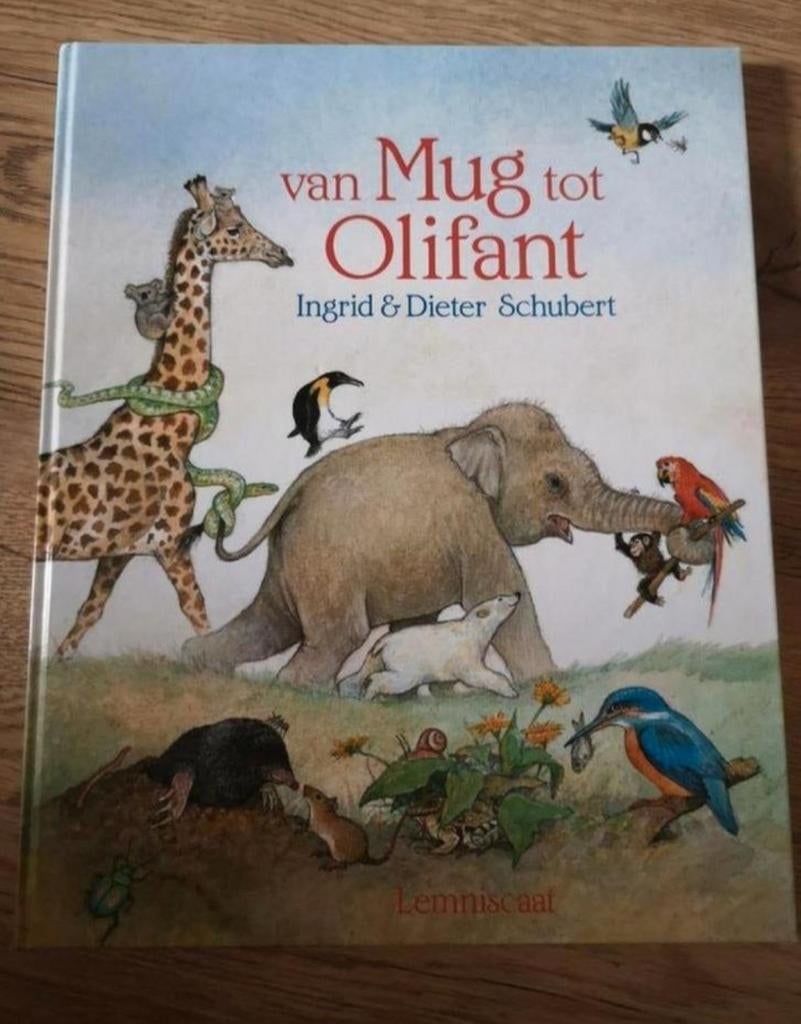 Dieter&Ingrid Schubert - Van mug tot olifant, Boeken, Ophalen of Verzenden, Nieuw, Fictie algemeen