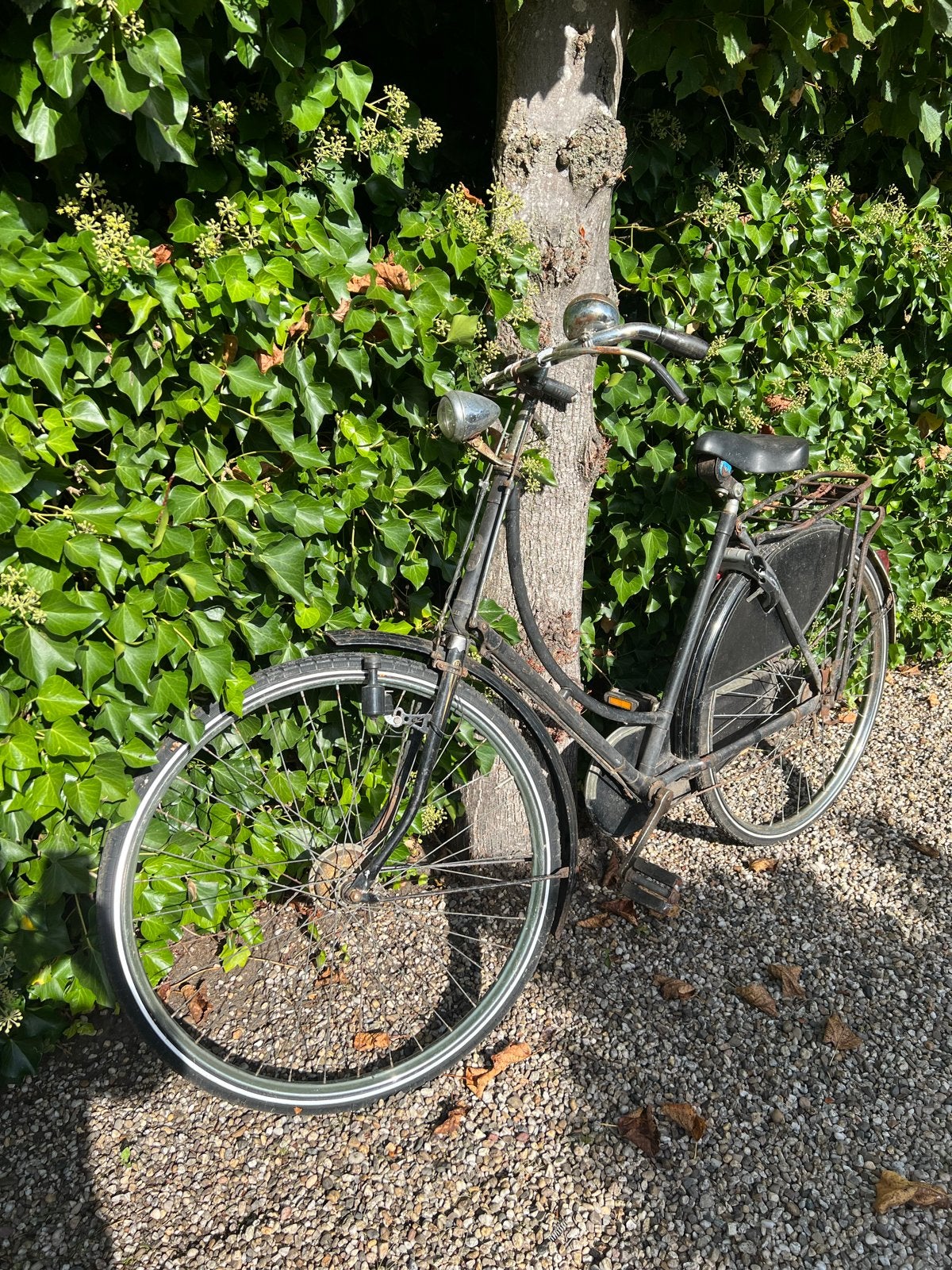 Gazelle damesfiets -, Ophalen, Gazelle, Trommelrem, 53 tot 56 cm