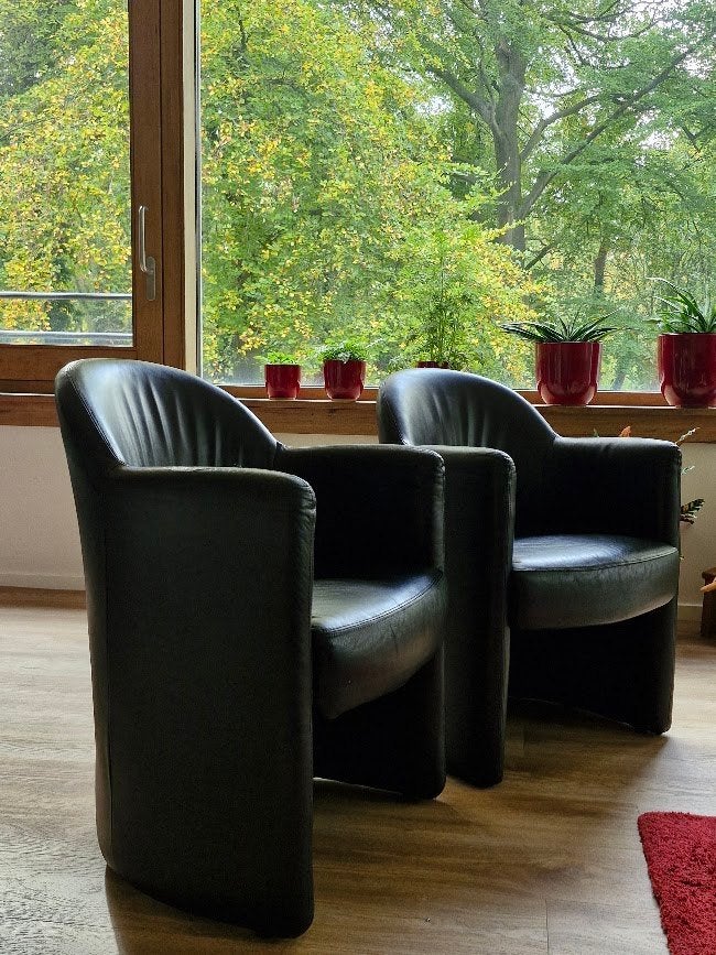 leren kuipstoelen, Ophalen, Gebruikt, Minder dan 75 cm, Leer