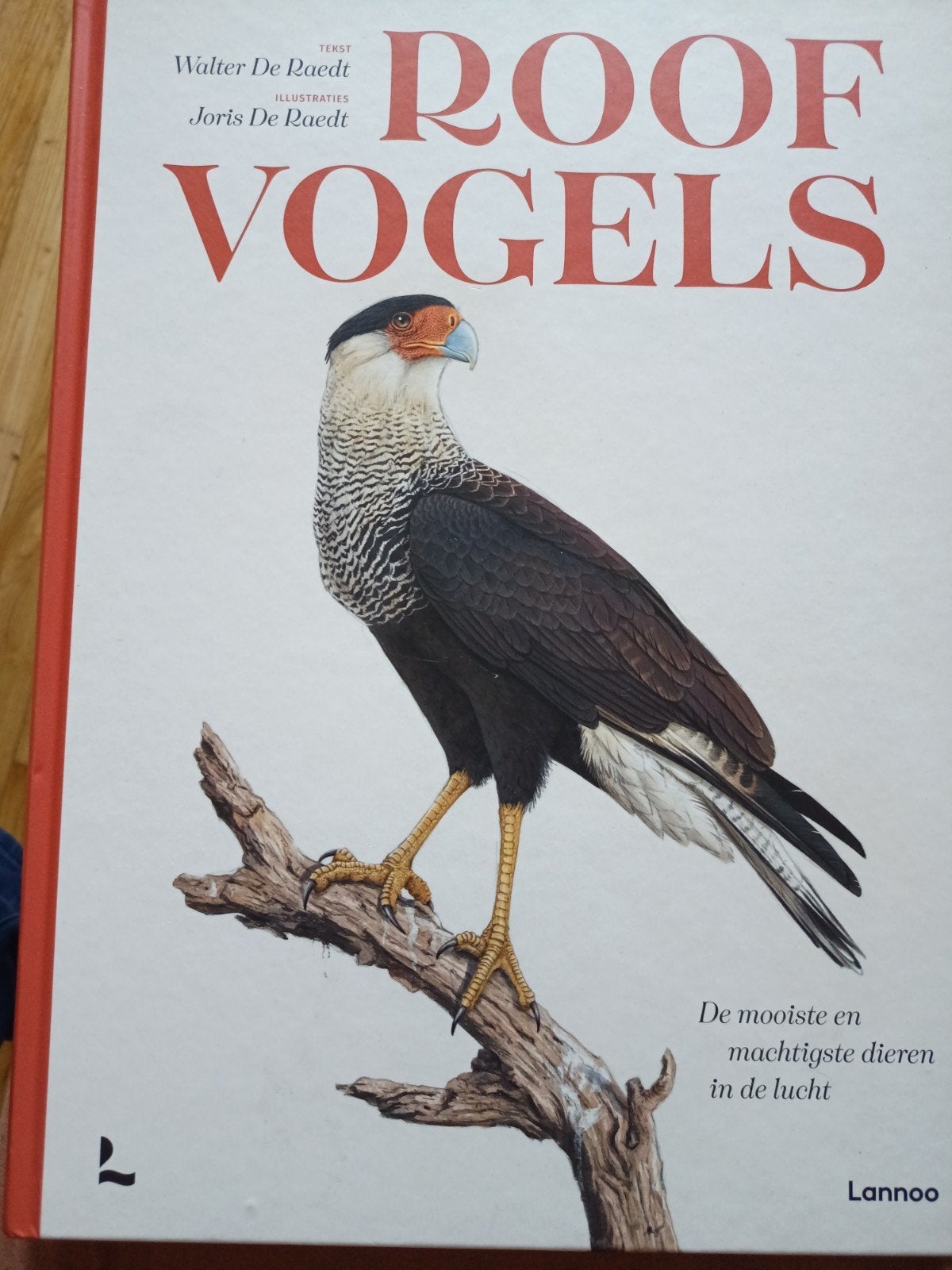 Walter De Raedt - Roofvogels, Boeken, Ophalen, Walter De Raedt, Fictie algemeen, Zo goed als nieuw