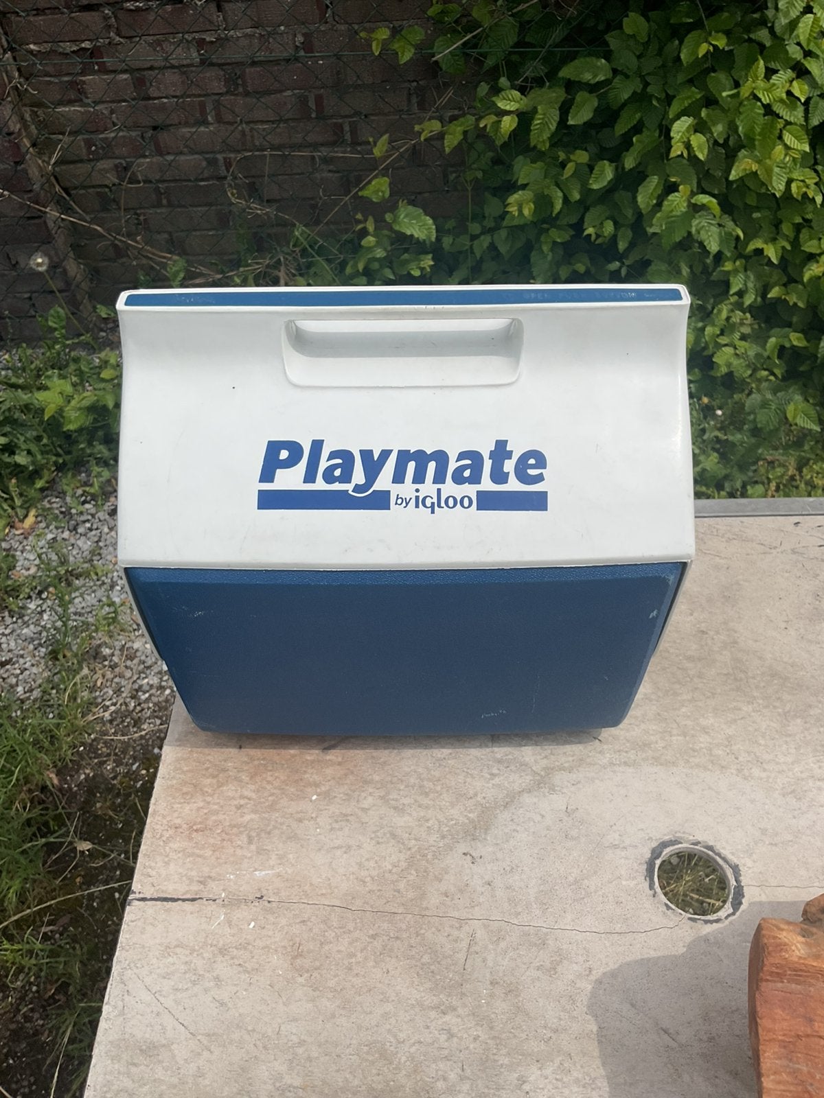 Playmate Igloo koelbox lunchbox groot model, Ophalen, Zo goed als nieuw, Koelelement