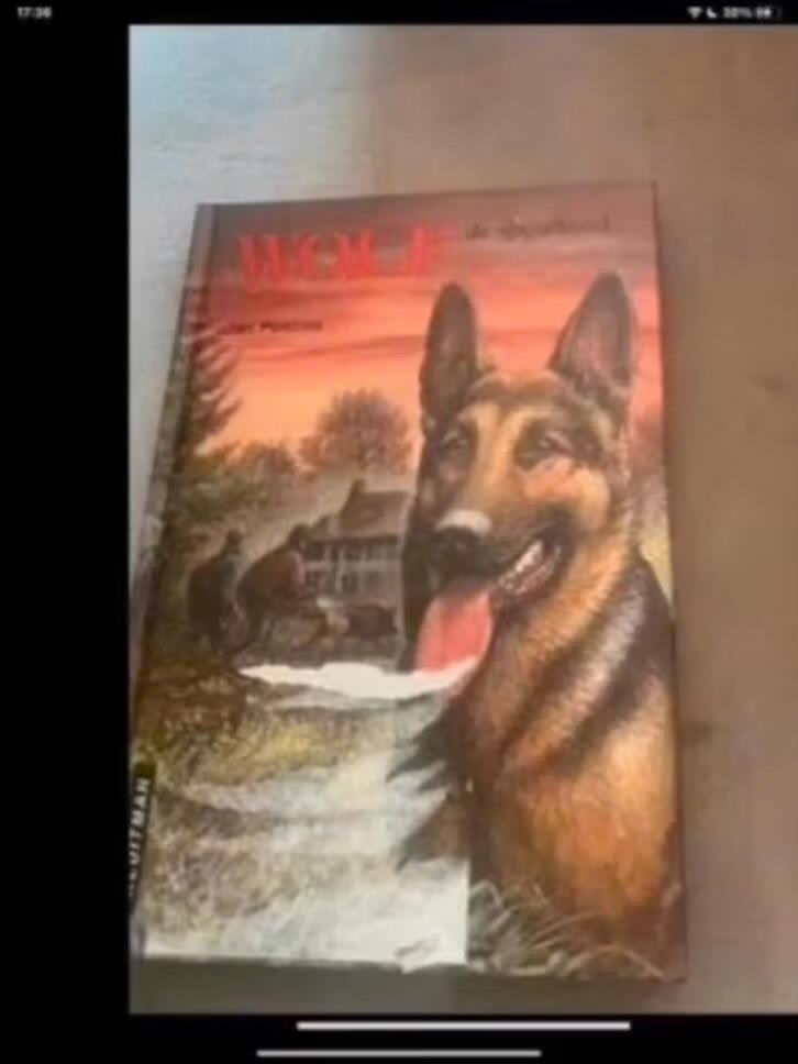 Wolf, Verzenden, Zo goed als nieuw, Balsport