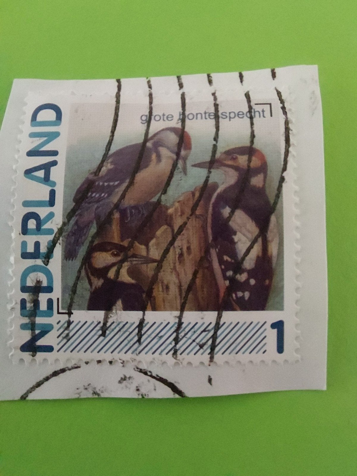 Nederland onafgeweekte postzegel, Verzenden