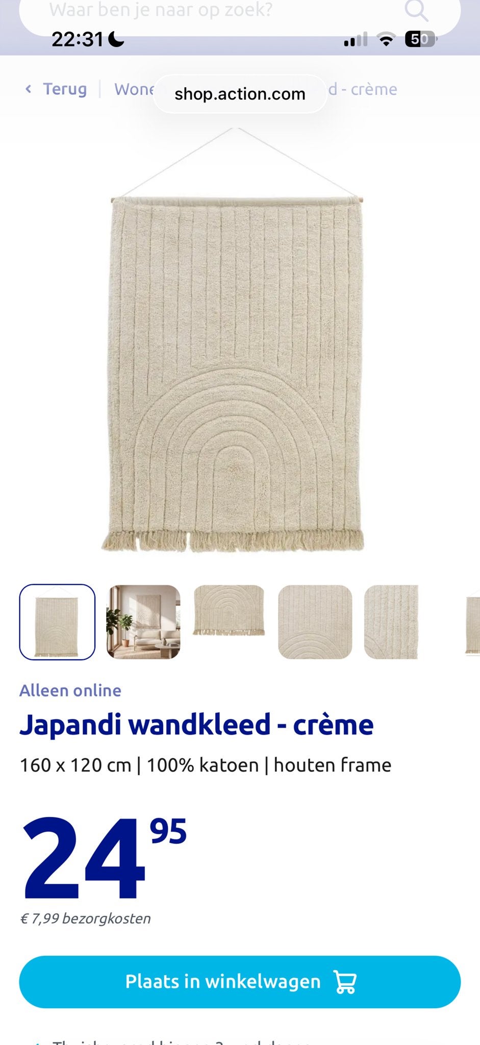 Japandi wandkleed crème - Action (160x120 cm), Zo goed als nieuw, Met ophangsysteem, Overige stijlen, Ophalen