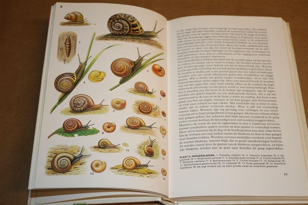 Elseviers gids van planten en dieren in de tuin., Boeken, Natuur, Ophalen of Verzenden, Zo goed als nieuw, Bloemen, Planten en Bomen