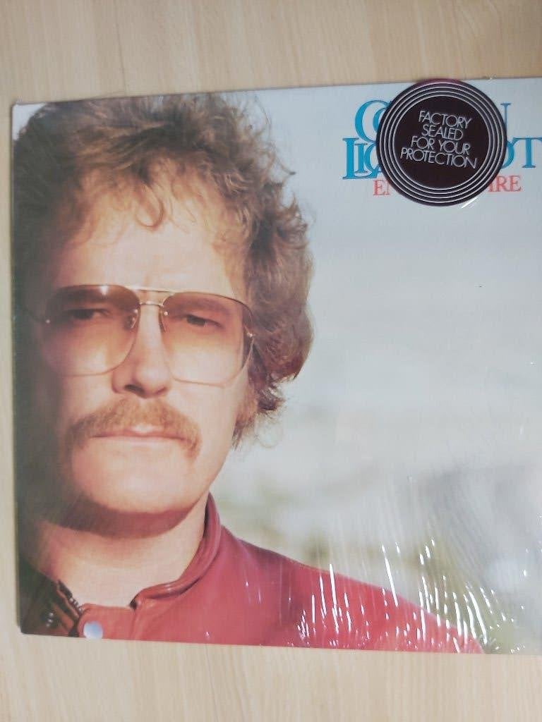 Gordon Lightfoot Endless Wire (USA), LP, Ophalen of Verzenden, Zo goed als nieuw, 12 inch