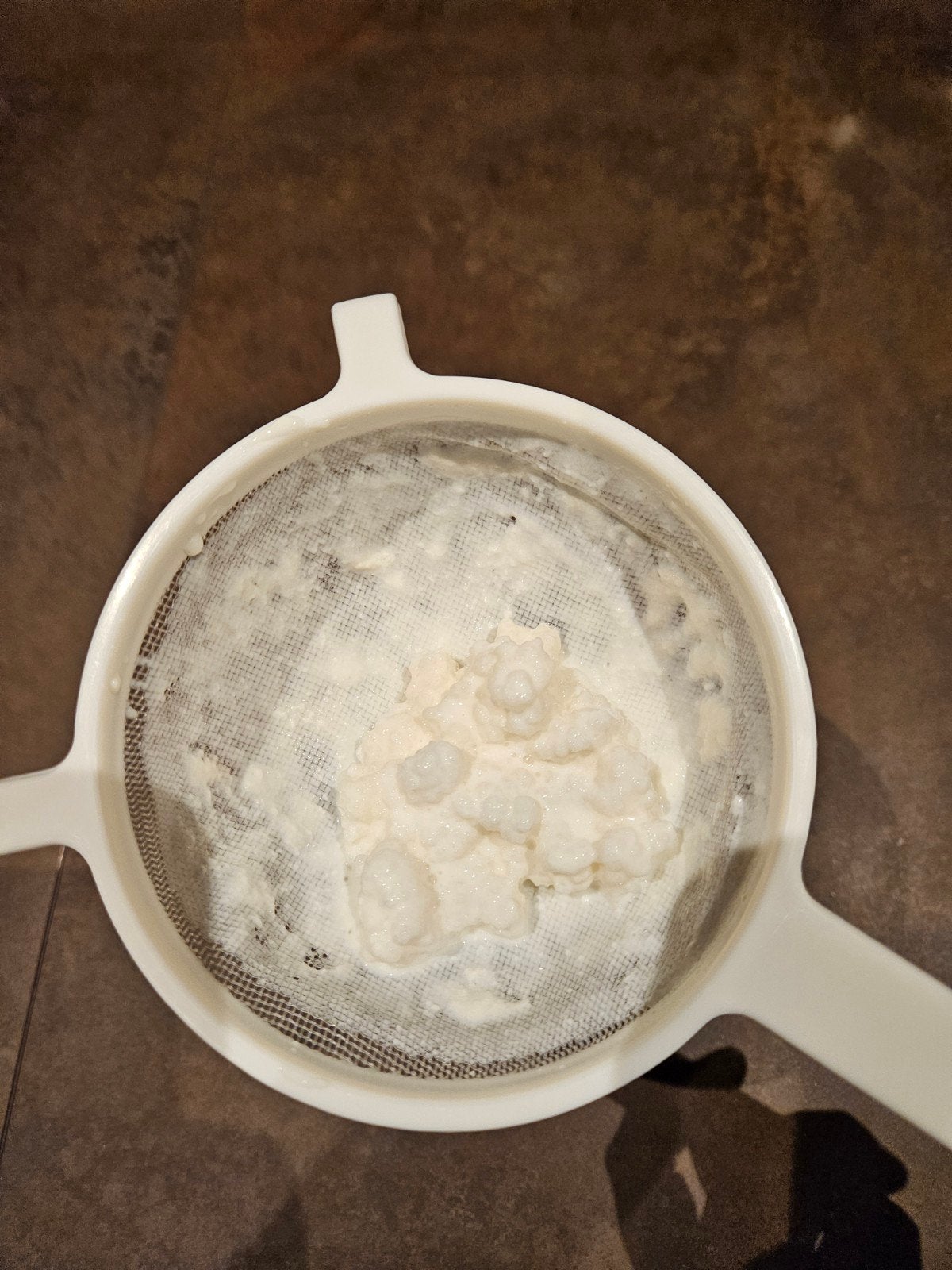 Verse Kefir Korrels - Maak zelf heerlijke kefir!, Ophalen