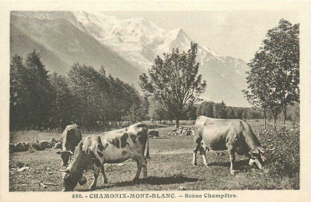 701-496-045 Chamonix, Verzenden, Voor 1920, Frankrijk