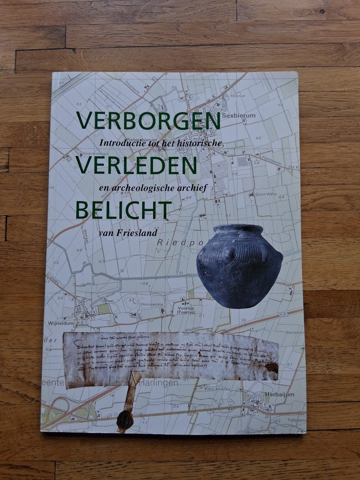 verborgen verleden belicht archeologie bodemvondsten Friesla, Ophalen of Verzenden, Zo goed als nieuw