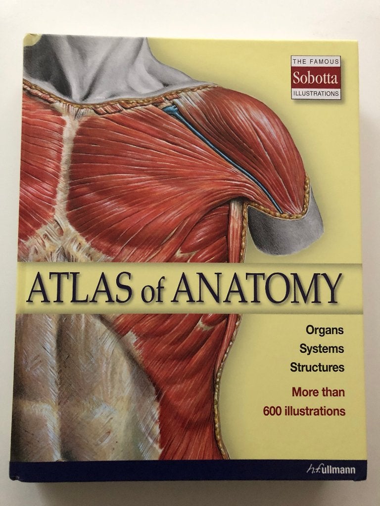 Atlas Of Anatomy, Verzenden, Nieuw, WO, Ullmann Publishing