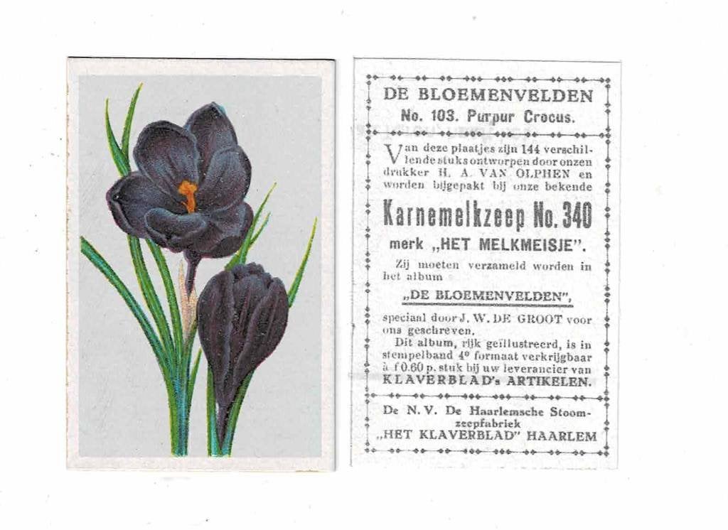 Oude plaatje van "HET KLAVERBLAD", Verzenden, Zo goed als nieuw, Overige typen