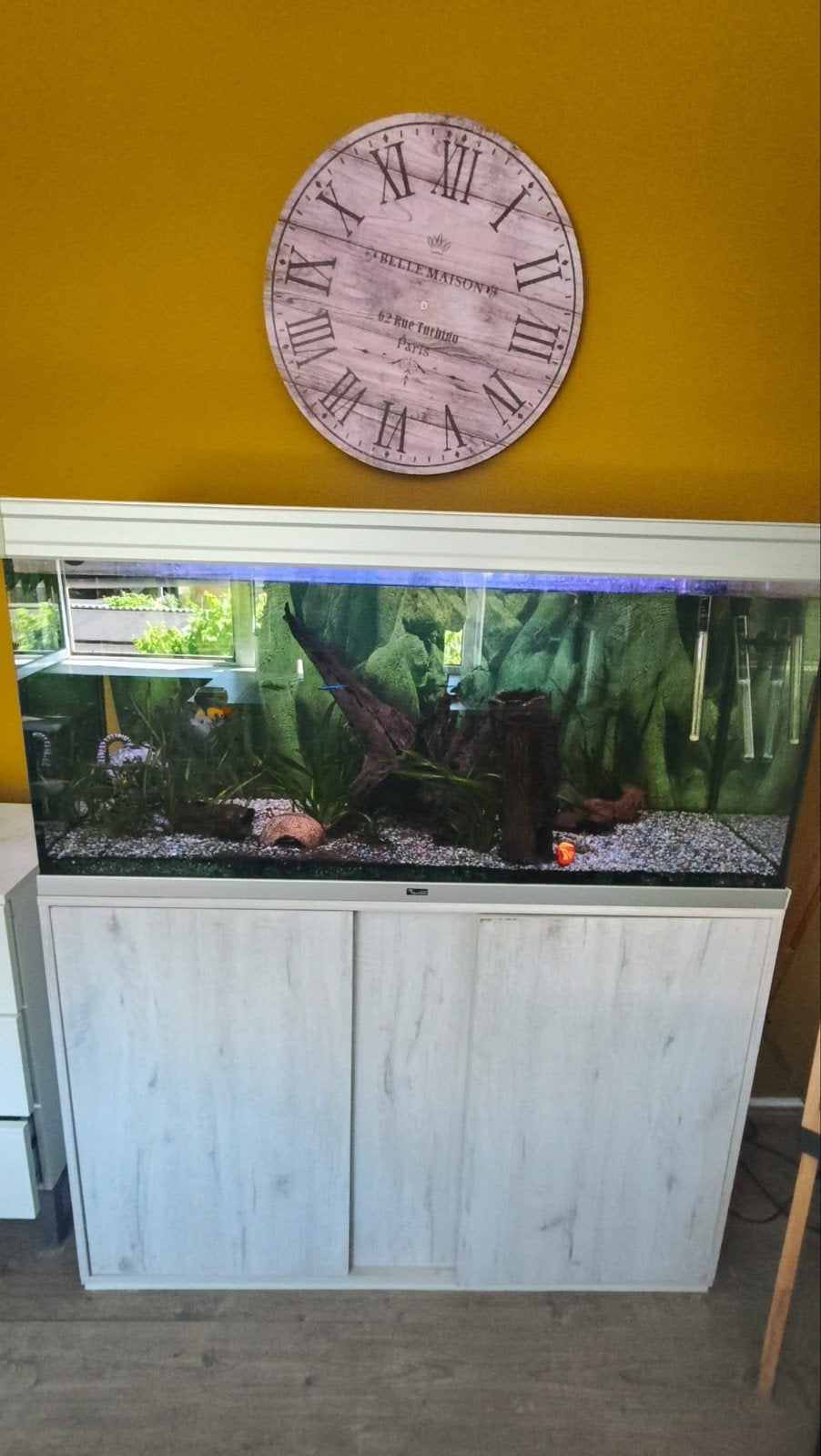 Aquarium met kast met spoed ophalen, Ophalen, Zo goed als nieuw, Leeg aquarium