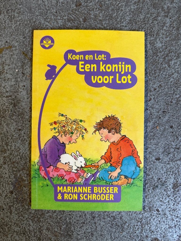Boek, Boeken, Chicklit, Ophalen of Verzenden, Zo goed als nieuw