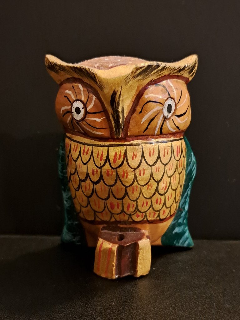 Handgesneden en beschilderde houten uil, Ophalen of Verzenden, Gebruikt, Dier