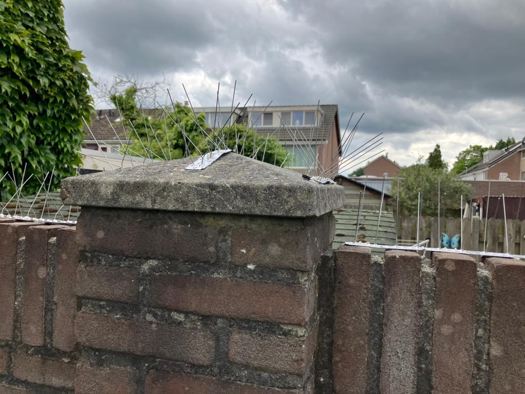 Duivenpin / verweer / katten / inbrekers / pin, Tuin en Terras, Ophalen, Nieuw, Ongediertebestrijding