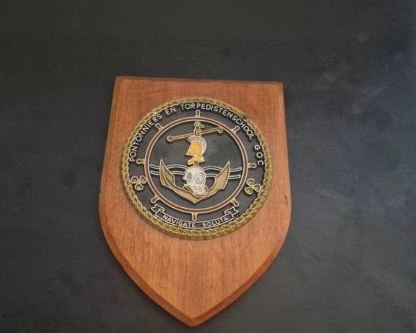 Pontonniers en Torpedistenschool GOC Plaquette, Verzamelen, Militaria | Algemeen, Ophalen of Verzenden, Landmacht, Nederland, Embleem of Badge
