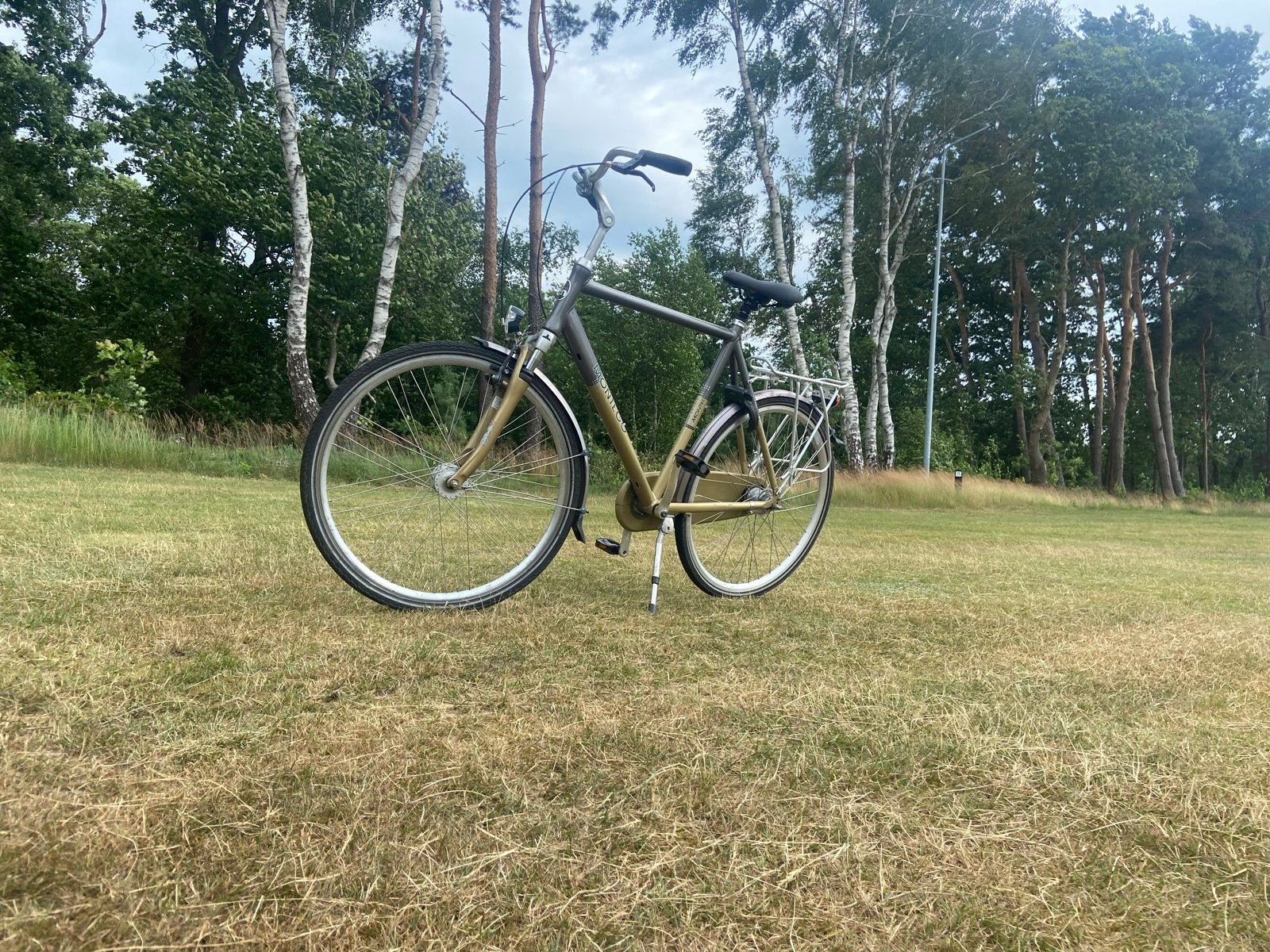Montego fiets, Terugtraprem, Gebruikt, Versnellingen, 65 cm of meer
