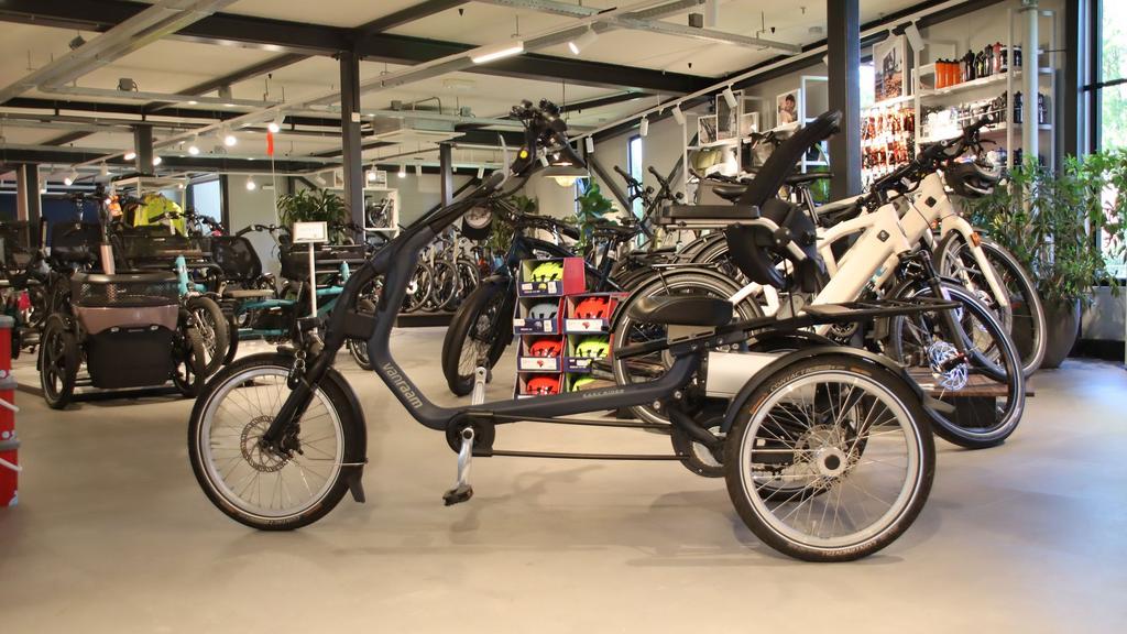 Occasion Van Raam Easy Rider3 Maat M, -, Zo goed als nieuw, -, -
