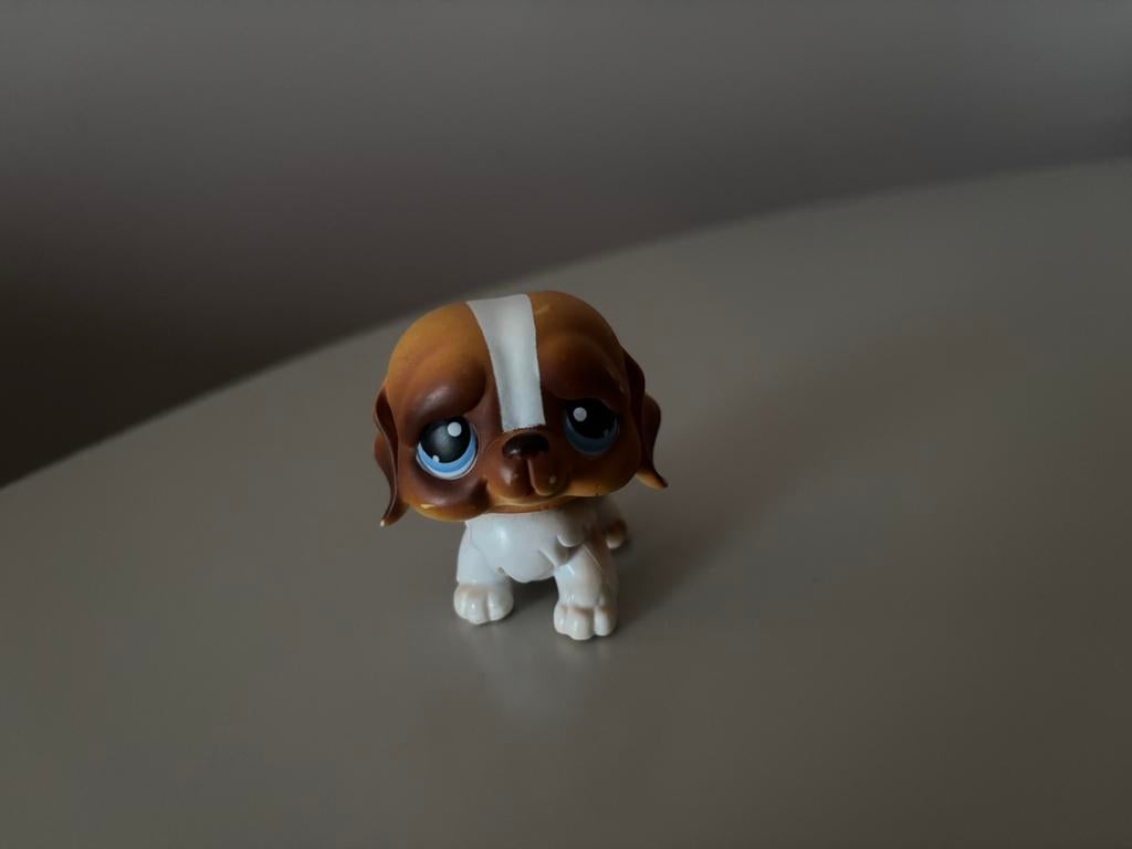 Littlest petshop hondje uit 2004, Ophalen, Zo goed als nieuw