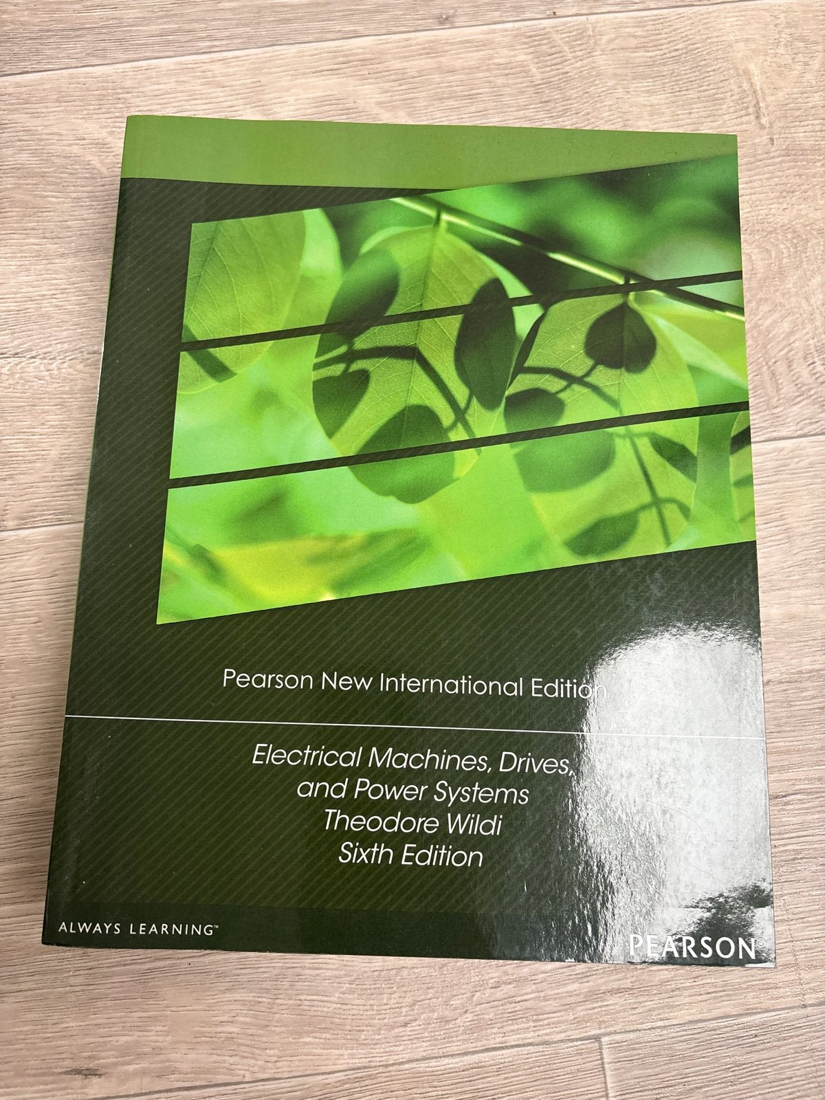 Electrical Machines, Drives, and Power Systems - Theodore Wi, Ophalen of Verzenden, Beta, Zo goed als nieuw, HBO