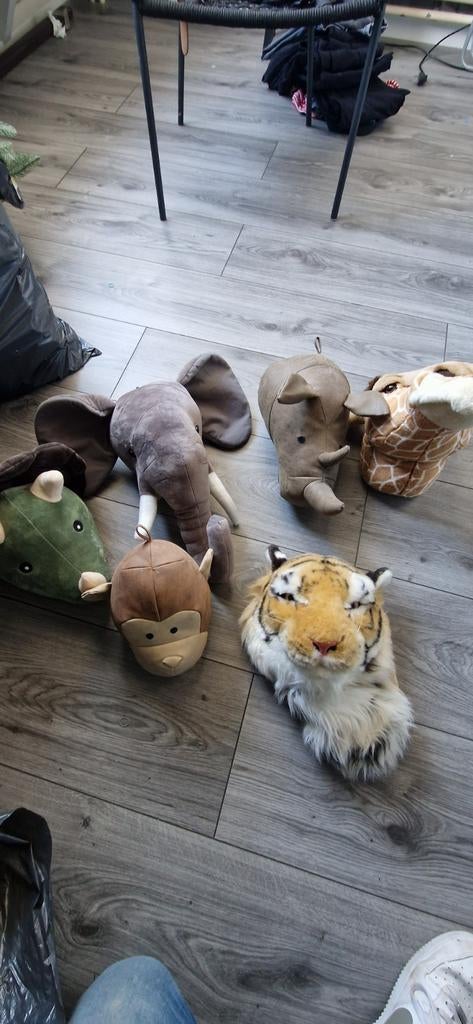 Dierenkoppen kamer, Meerdere dieren, Kip