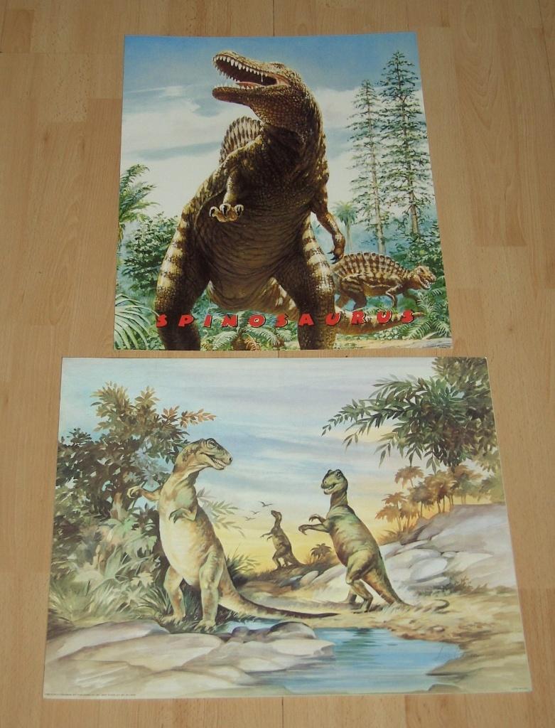 POSTER 50X40 CM KINDER DIVERSEN COLL 2, 9 POSTERS NIEUW, -, Jongen of Meisje, -, Nieuw