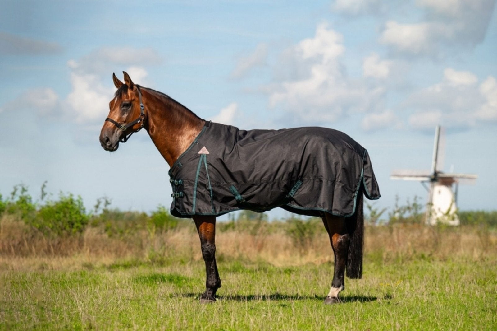 DKR deken,200 gram. maat 175, Dieren en Toebehoren, Paarden en Pony's | Dekens en Dekjes, Ophalen of Verzenden