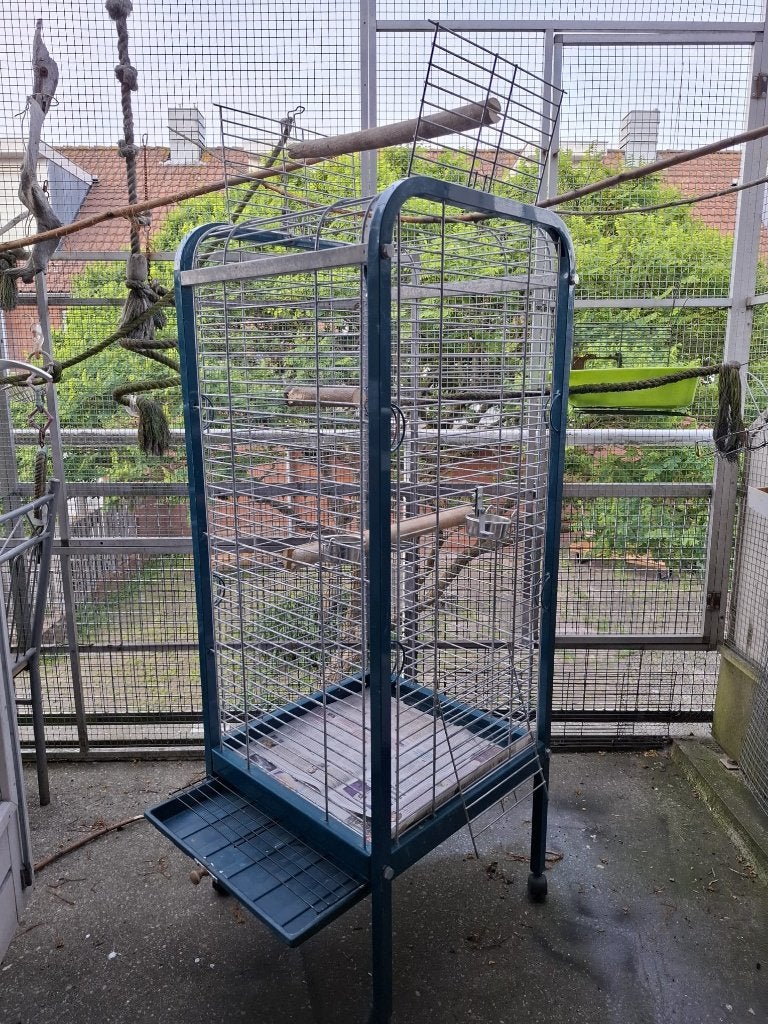 Halsbandparkieten vogels kooi, Dieren en Toebehoren, Ophalen, Zo goed als nieuw, Metaal, Vogelkooi