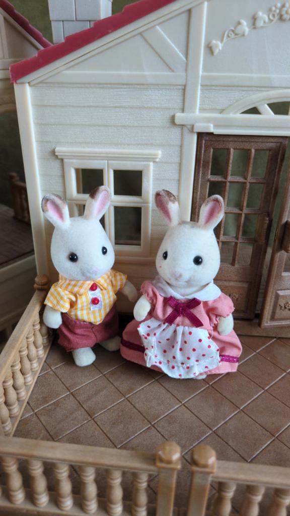 Vader en moeder sylvanian families, Kinderen en Baby's, Kraamcadeaus en Geboorteborden, Ophalen, Zo goed als nieuw