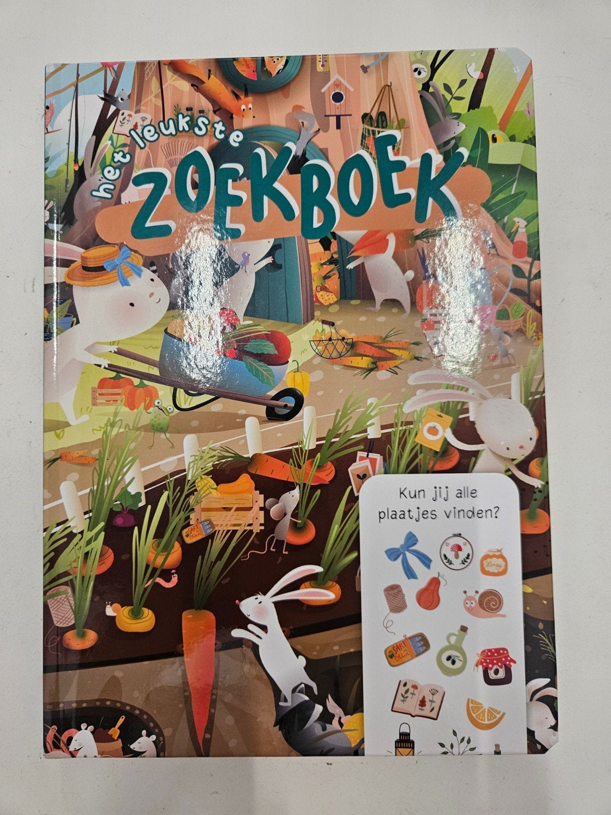 Het leukste zoekboek, Ophalen of Verzenden