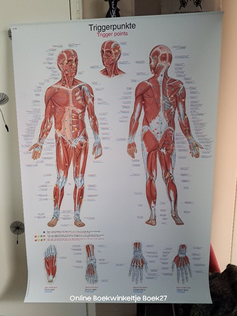 Poster Triggerpunkte - Triggerpoints - as new, Ophalen, Zo goed als nieuw, Overige onderwerpen, Achtergrond en Informatie