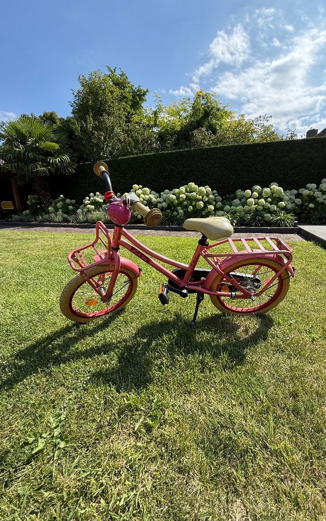 Kinderfiets, Ophalen, Gebruikt, Minder dan 16 inch, Zijwieltjes