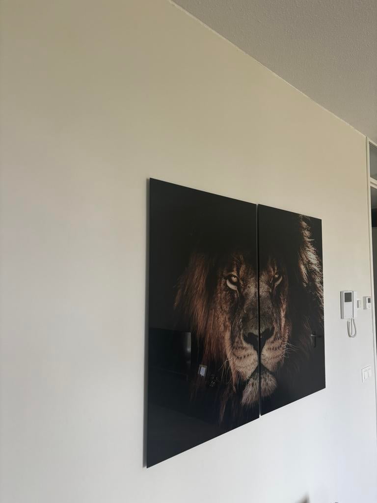 Wallfield lion glass 60x90 cm, Ophalen