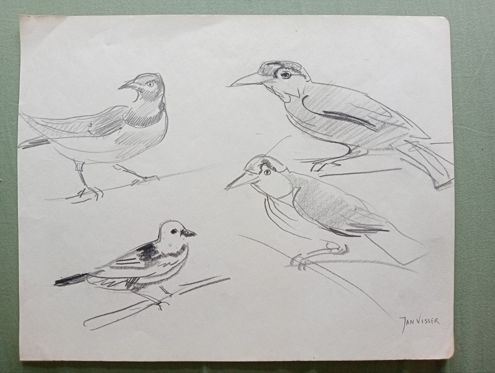 Jan Visser tekening vogels jaren 40-50 Blijdorp Rotterdam, Verzamelen, Telefoonkaarten, Ophalen of Verzenden