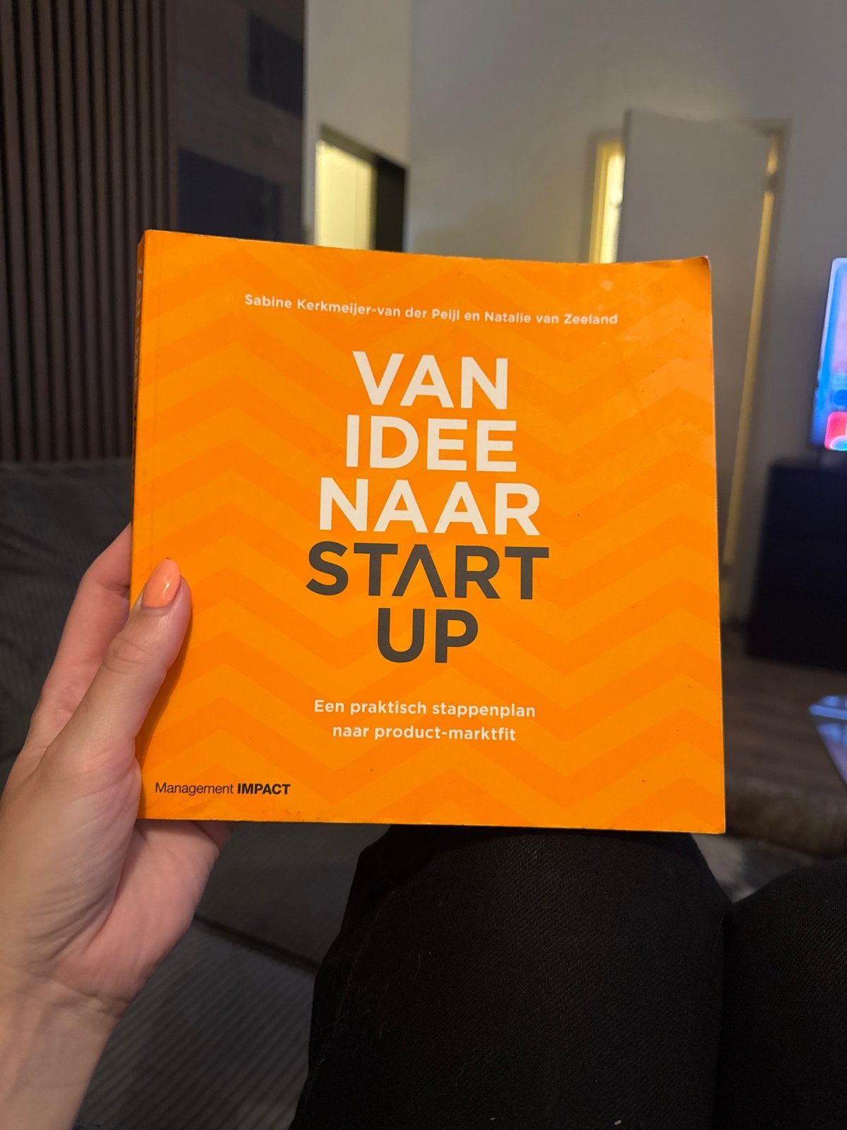 Van Idee Naar Start-Up: Praktisch Stappenplan, Ophalen of Verzenden, Zo goed als nieuw, Management