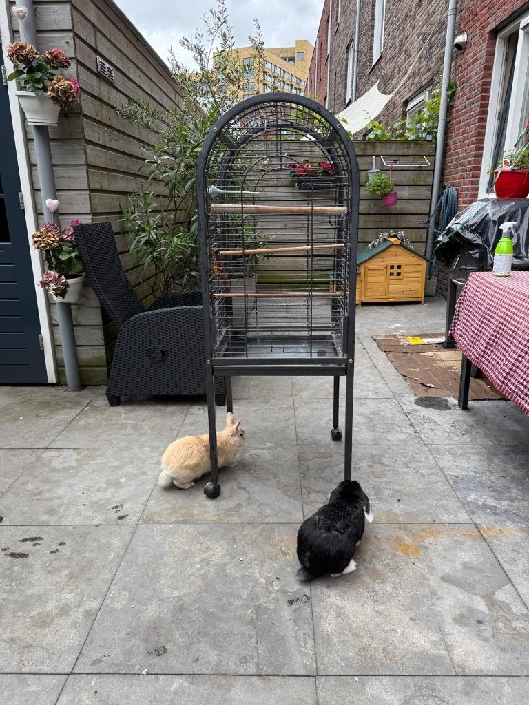 Stalen vogelkooi op standaard, Ophalen, Gebruikt, Metaal, Vogelkooi