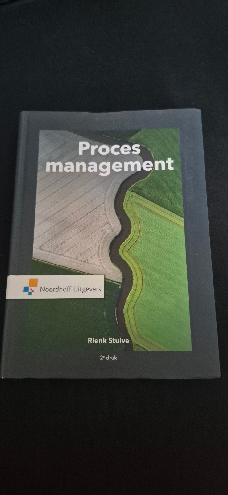 Rienk Stuive - Procesmanagement, Boeken, Sociale wetenschap, Rienk Stuive, Ophalen of Verzenden, Zo goed als nieuw