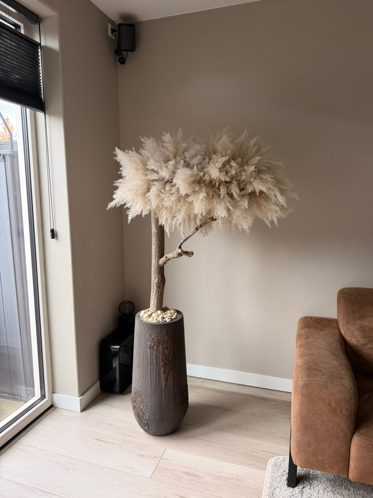 Pampas bomen, Lvkvazen, Zo goed als nieuw, Info@lvkvazen.com, Ophalen