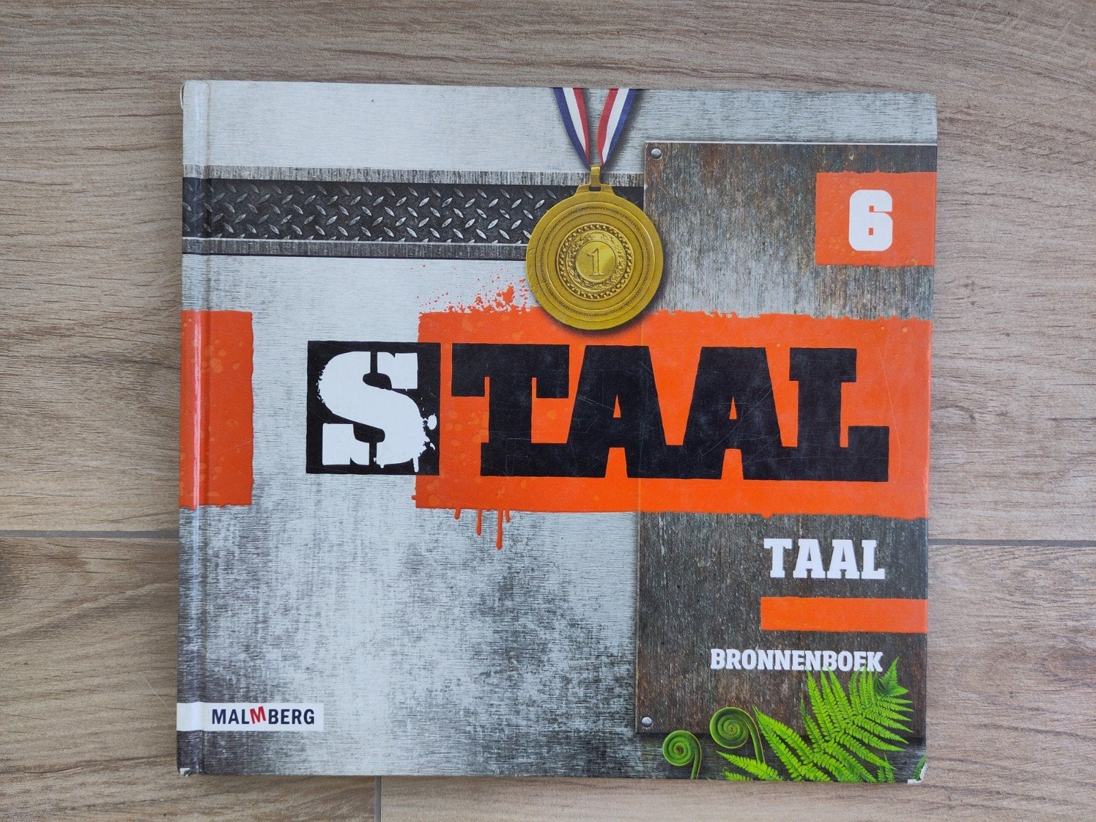5x Staal Taal, bronnenboeken, groep 6, Boeken, Ophalen, Overige niveaus, Nederlands