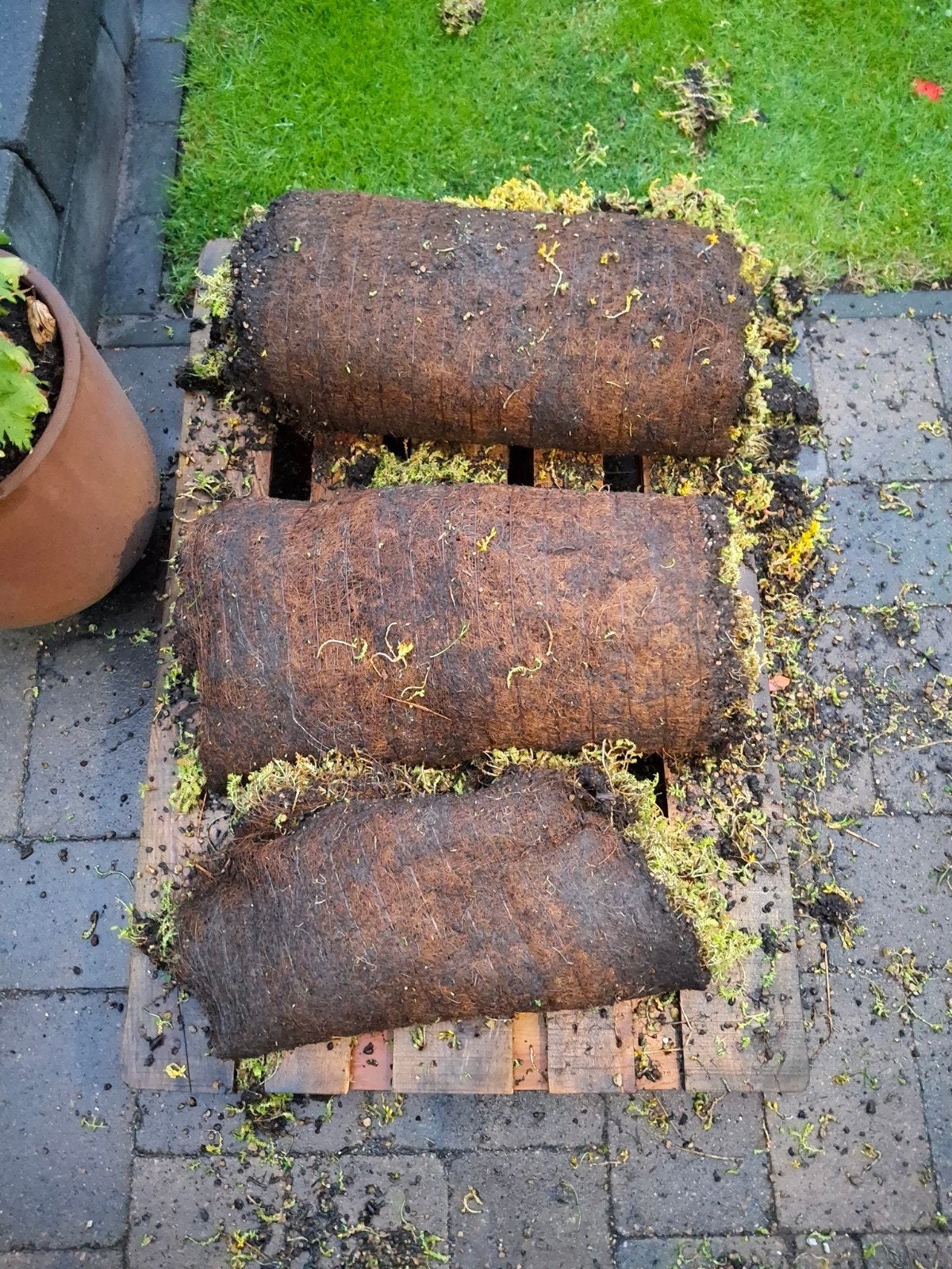 1,5 m2 sedum met benodigdheden, Ophalen, Vaste plant, Overige soorten, Volle zon