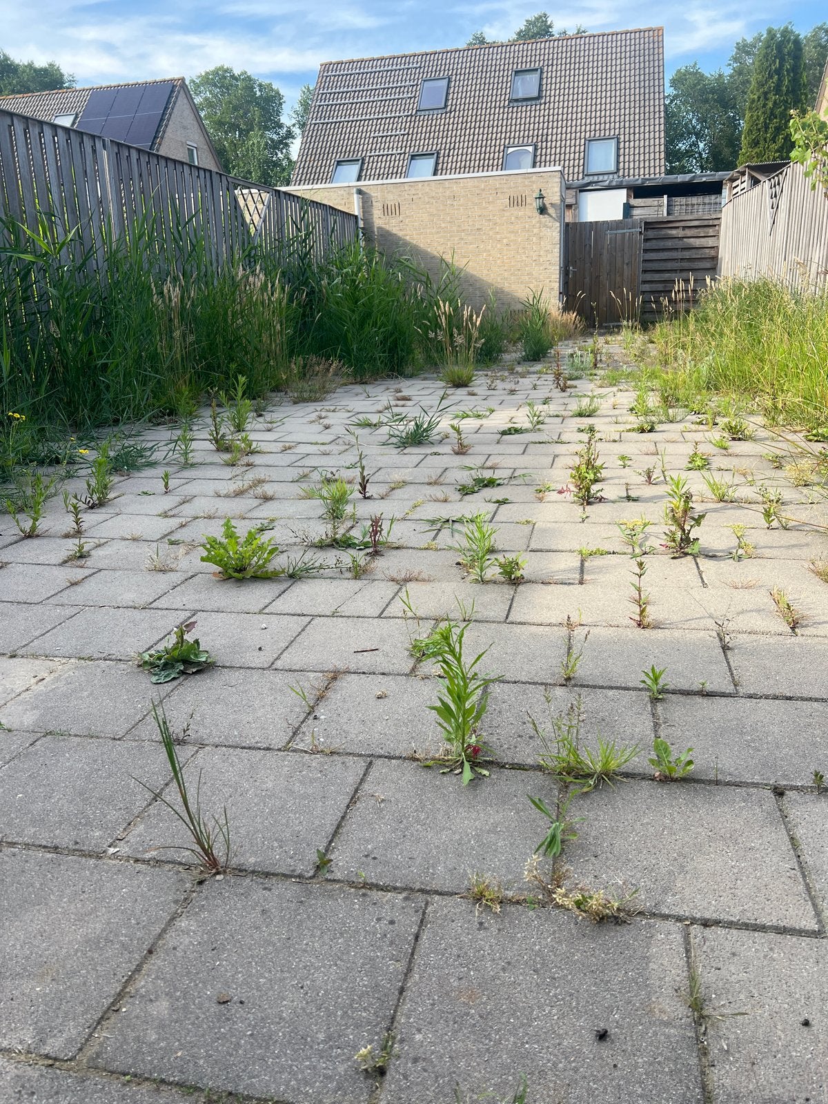 Gratis tuin tegels, Tuin en Terras, Ophalen, Gebruikt, Beton, Terrastegels