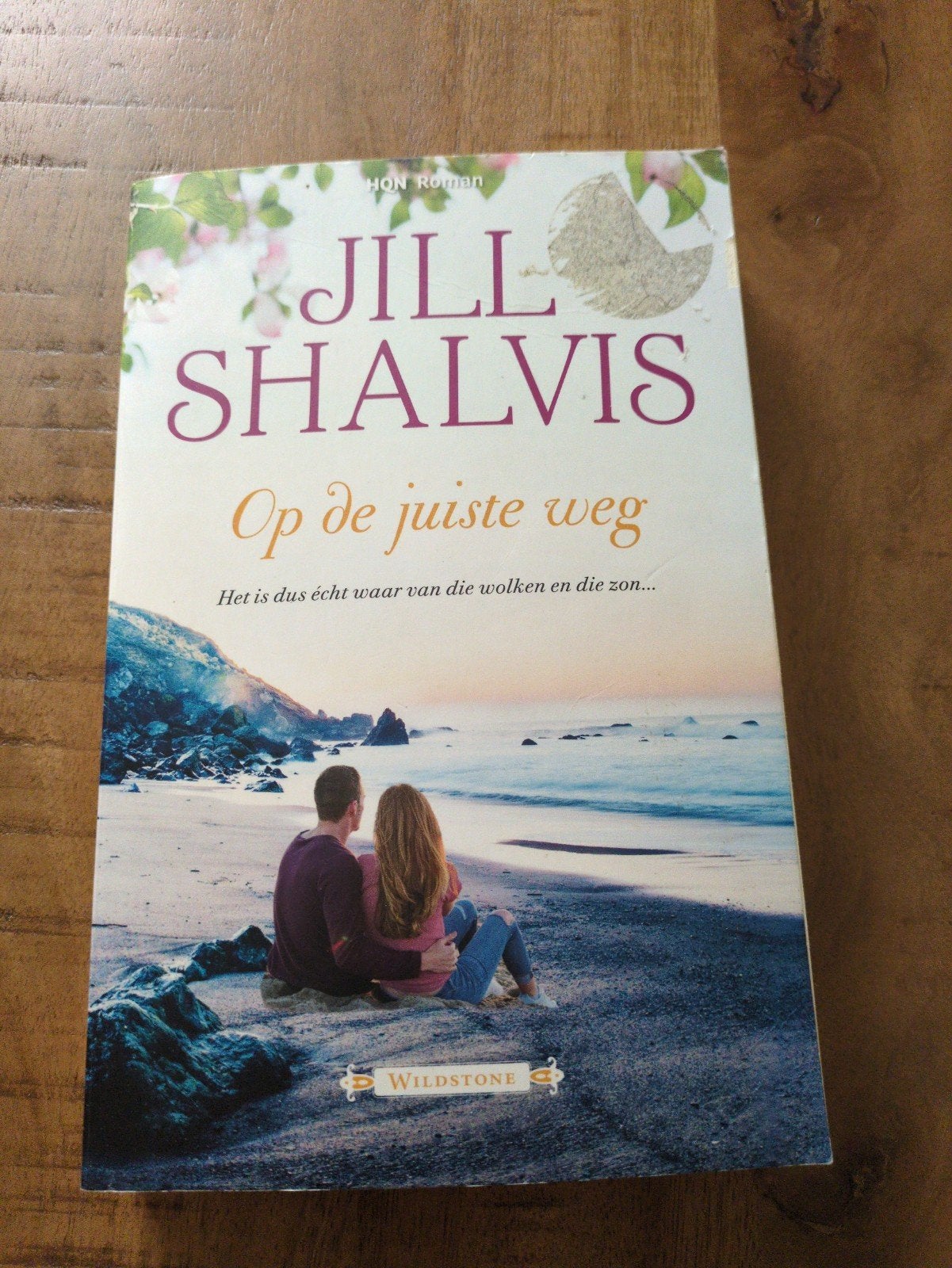 Jill Shalvis - Op de juiste weg (Harlequin HQN Roman), Ophalen of Verzenden, Gelezen, Jill Shalvis, Nederland