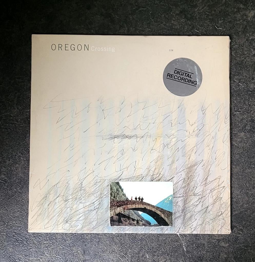 Oregon, Cd's en Dvd's, Vinyl | Pop, Gebruikt, 12 inch, Ophalen of Verzenden