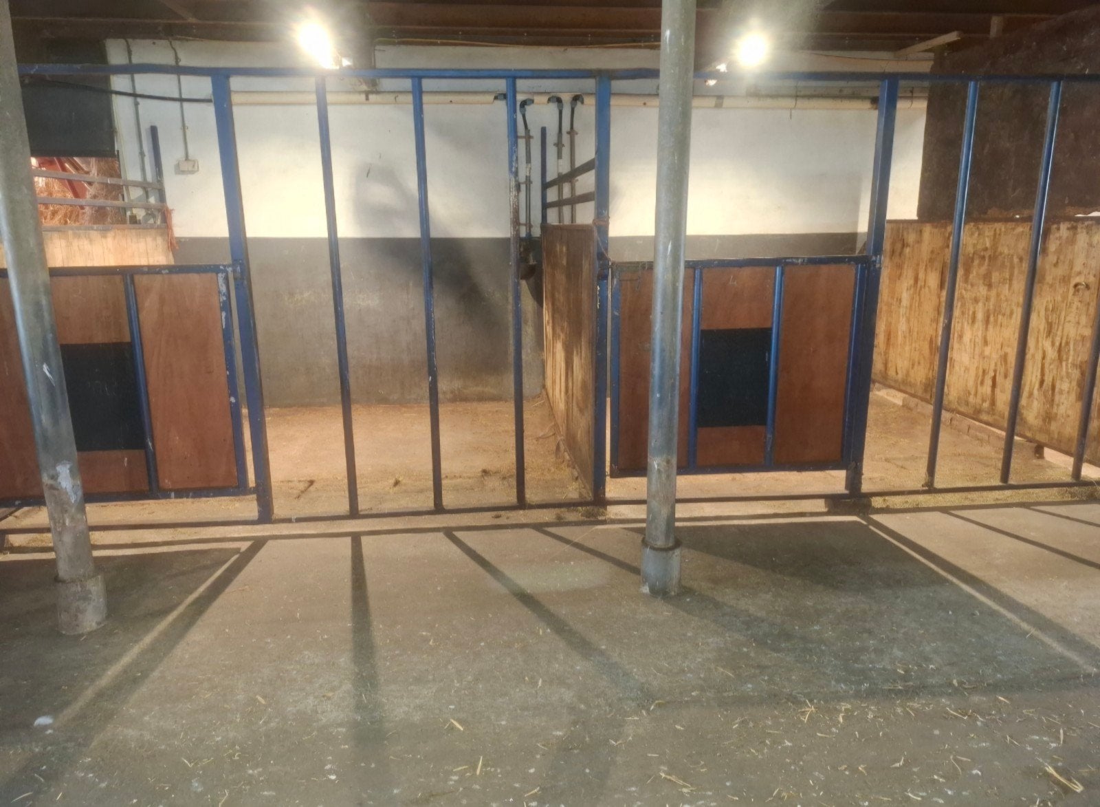 stalling Wognum 280 euro per maand, Dieren en Toebehoren, Stalling